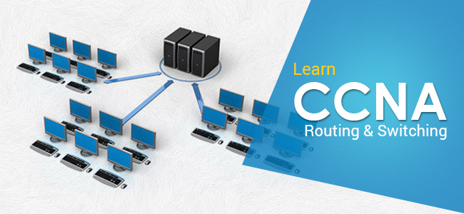 Formation CISCO CCNA 1 – Réseaux Informatiques